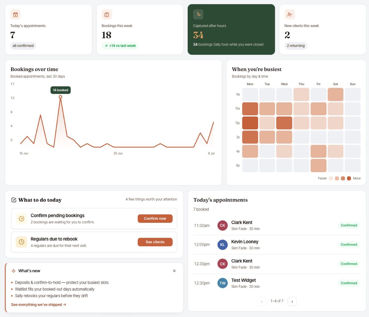 Suddenly dashboard: today's appointments and bookings over time